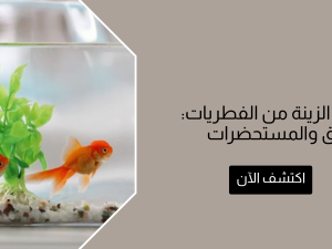 علاج سمك الزينة من الفطريات: أفضل الطرق والمستحضرات الفعالة