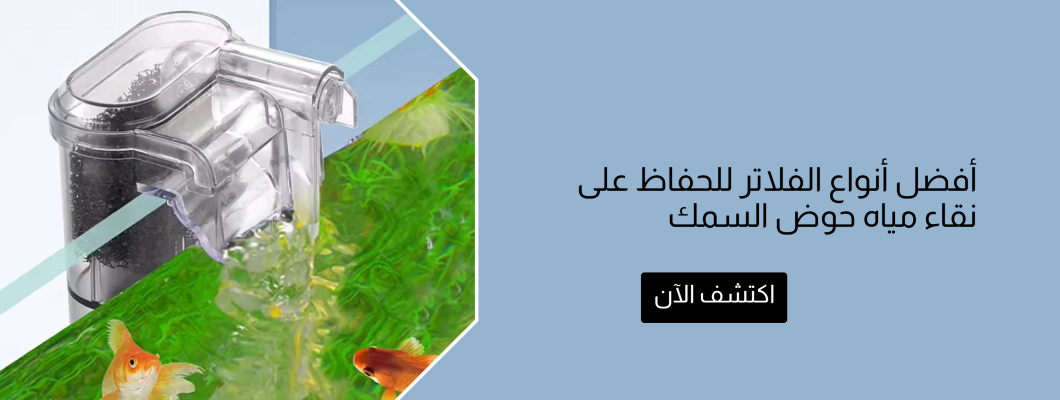 أفضل انواع فلاتر حوض السمك للحفاظ على نقاء مياه حوض السمك