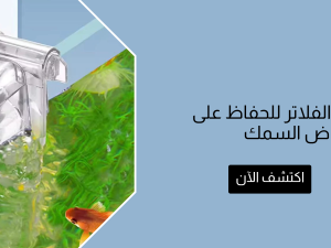 أفضل انواع فلاتر حوض السمك للحفاظ على نقاء مياه حوض السمك