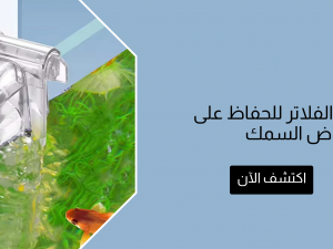 أفضل انواع فلاتر حوض السمك للحفاظ على نقاء مياه حوض السمك
