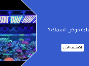 كيف تختار اضاءة حوض السمك ؟ دليل شامل