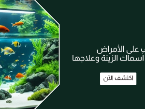 كيفية التعرف على الأمراض الشائعة في أسماك الزينة وعلاجها