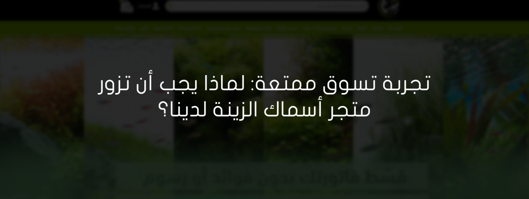 أهم النصائح لشراء مستلزمات أسماك الزينة من متجر متخصص أهم النصائح لشراء مستلزمات أسماك الزينة من متجر متخصص