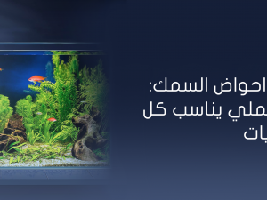 تجهيز احواض السمك: دليل عملي يناسب كل الميزانيات تجهيز احواض السمك: دليل عملي يناسب كل الميزانيات