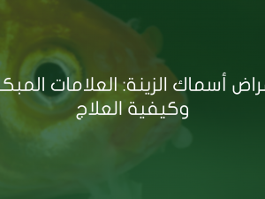 أمراض أسماك الزينة: العلامات المبكرة وكيفية العلاج أمراض أسماك الزينة: العلامات المبكرة وكيفية العلاج