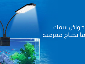 اضاءة احواض سمك الزينة: ما تحتاج معرفته