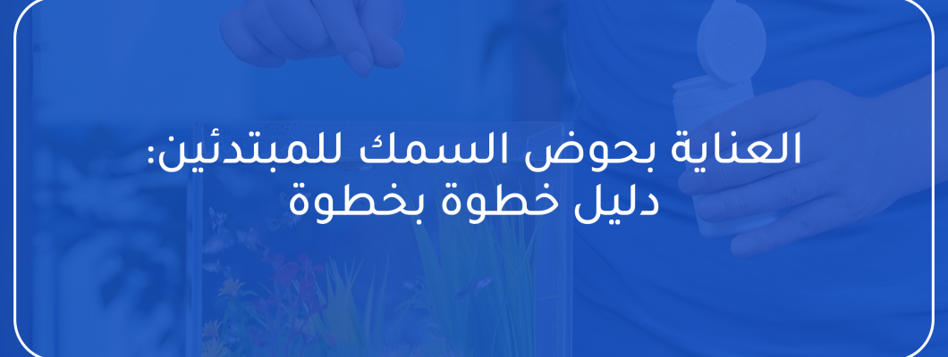 العناية بحوض السمك للمبتدئين: دليل خطوة بخطوة العناية بحوض السمك للمبتدئين: دليل خطوة بخطوة