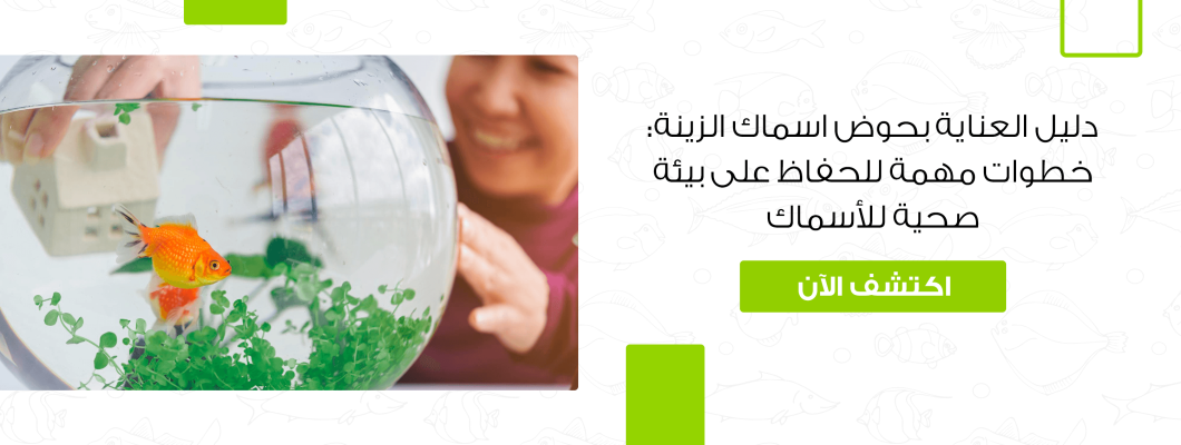 دليل العناية بحوض اسماك الزينة: خطوات مهمة دليل العناية بحوض اسماك الزينة: خطوات مهمة