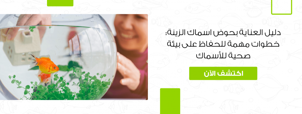 دليل العناية بحوض اسماك الزينة: خطوات مهمة دليل العناية بحوض اسماك الزينة: خطوات مهمة
