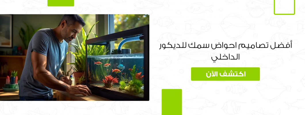 أفضل تصاميم احواض سمك للديكور الداخلي