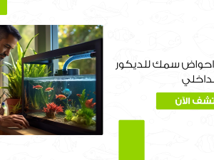 أفضل تصاميم احواض سمك للديكور الداخلي