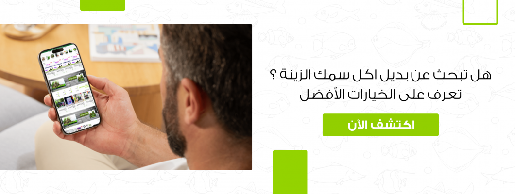 هل تبحث عن بديل اكل سمك الزينة ؟ تعرف على الخيارات الأفضل