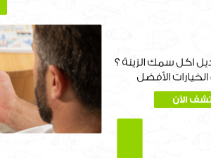 هل تبحث عن بديل اكل سمك الزينة ؟ تعرف على الخيارات الأفضل