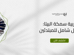 تربية سمكة البيتا: دليل شامل للمبتدئين