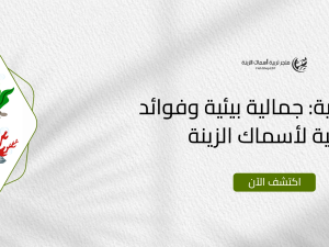 نباتات مائية: جمالية بيئية وفوائد صحية لأسماك الزينة