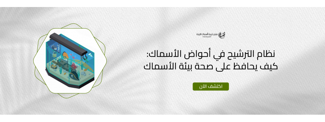 نظام الترشيح في أحواض الأسماك: كيف يحافظ على صحة بيئة الأسماك نظام الترشيح في أحواض الأسماك: كيف يحافظ على صحة بيئة الأسماك