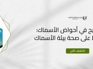 نظام الترشيح في أحواض الأسماك: كيف يحافظ على صحة بيئة الأسماك