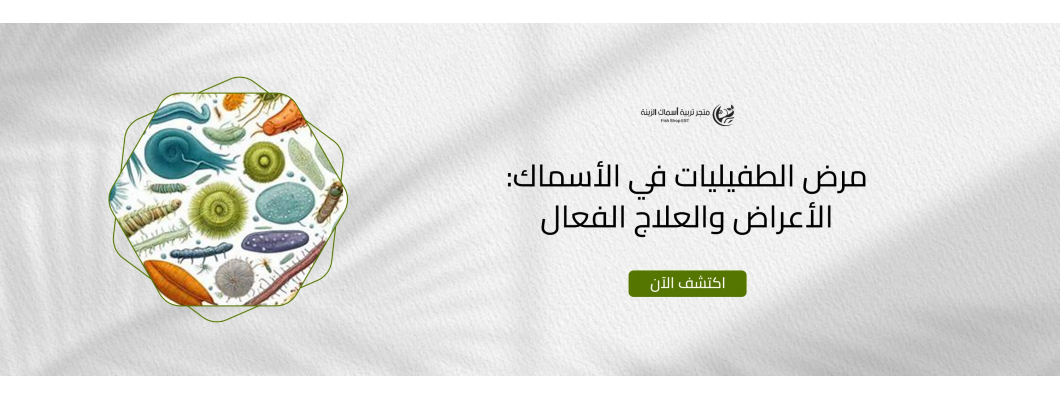مرض الطفيليات في الأسماك: الأعراض والعلاج الفعال مرض الطفيليات في الأسماك: الأعراض والعلاج الفعال
