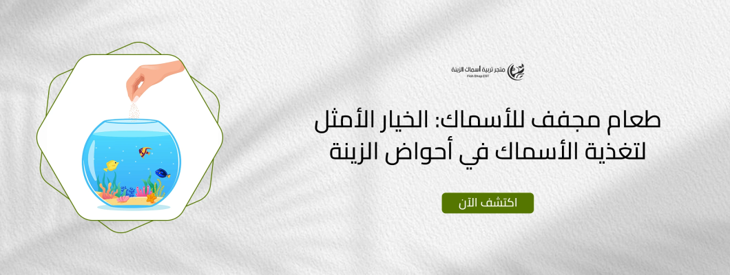 طعام مجفف للأسماك: الخيار الأمثل لتغذية الأسماك في أحواض الزينة طعام مجفف للأسماك: الخيار الأمثل لتغذية الأسماك في أحواض الزينة