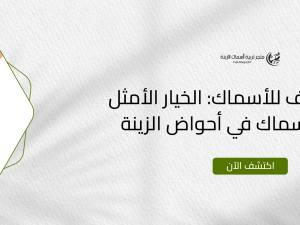 طعام مجفف للأسماك: الخيار الأمثل لتغذية الأسماك في أحواض الزينة