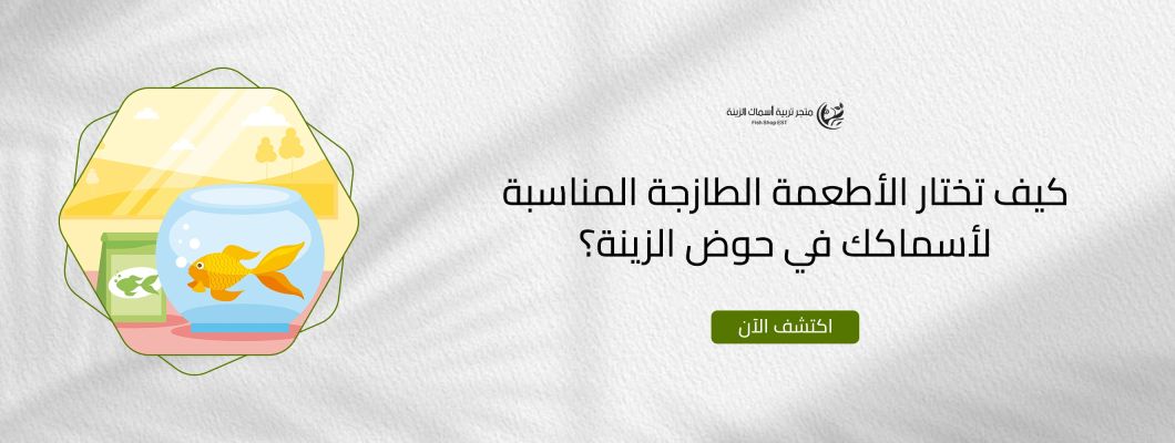 كيف تختار الأطعمة الطازجة المناسبة لأسماكك في حوض الزينة؟