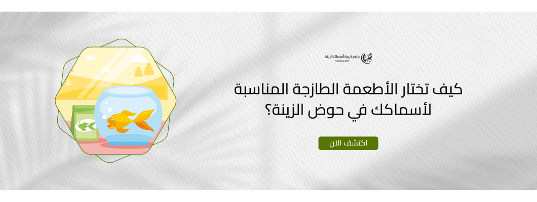 كيف تختار الأطعمة الطازجة المناسبة لأسماكك في حوض الزينة؟ كيف تختار الأطعمة الطازجة المناسبة لأسماكك في حوض الزينة؟