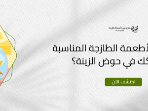 كيف تختار الأطعمة الطازجة المناسبة لأسماكك في حوض الزينة؟