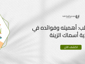 غذاء الطحالب: أهميته وفوائده في تغذية أسماك الزينة