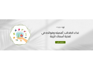 غذاء الطحالب: أهميته وفوائده في تغذية أسماك الزينة غذاء الطحالب: أهميته وفوائده في تغذية أسماك الزينة