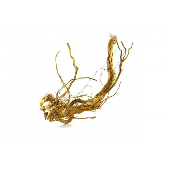 خشب من لنوع Azalea Wood حجم XXXL (معالج) خشب من لنوع Azalea Wood حجم XXXL (معالج)