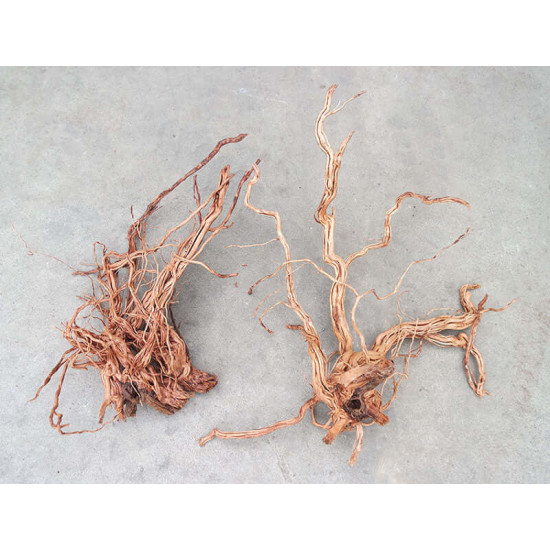 خشب من لنوع Azalea Wood حجم XXXL (معالج) خشب من لنوع Azalea Wood حجم XXXL (معالج)