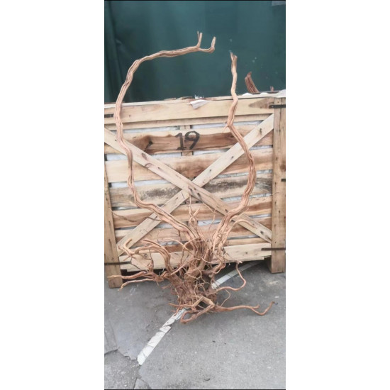 خشب من لنوع Azalea Wood حجم XXXL (معالج) خشب من لنوع Azalea Wood حجم XXXL (معالج)