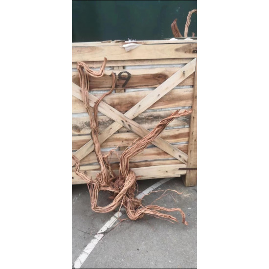 خشب من لنوع Azalea Wood حجم XXXL (معالج) خشب من لنوع Azalea Wood حجم XXXL (معالج)