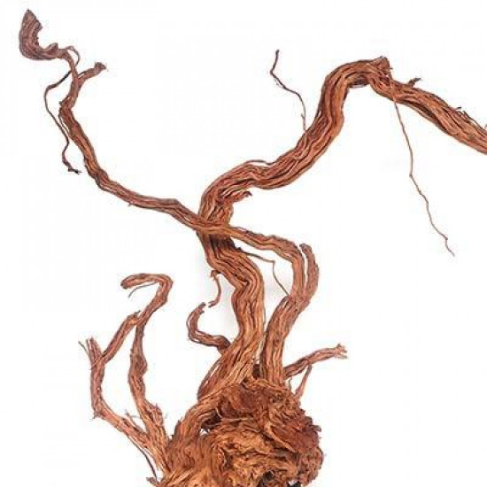 خشب من لنوع Azalea Wood حجم XXXL (معالج) خشب من لنوع Azalea Wood حجم XXXL (معالج)