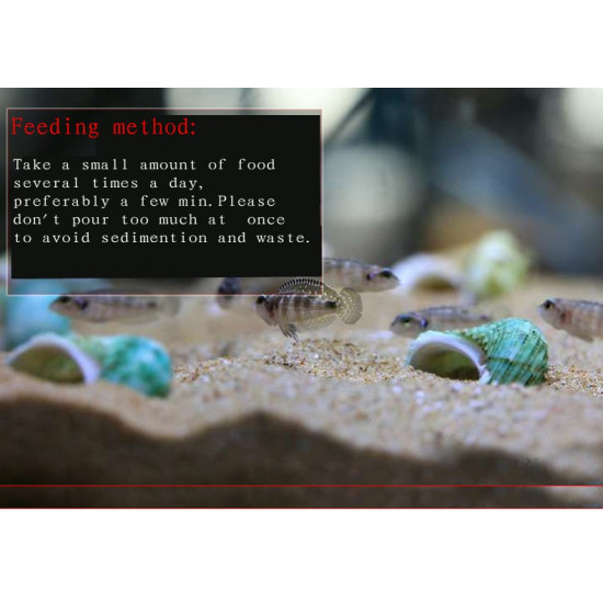 غذاء دقيق يحتوي على الأغذية النباتية والحيوانية لصغار الأسماك - Biozym Finicky Fish Food 80g غذاء دقيق يحتوي على الأغذية النباتية والحيوانية لصغار الأسماك - Biozym Finicky Fish Food 80g