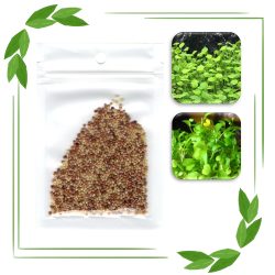بذور نباتات خاصة لحوض الأسماك - Love Grass Seeds