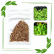 بذور نباتات خاصة لحوض الأسماك - Love Grass Seeds بذور نباتات خاصة لحوض الأسماك - Love Grass Seeds