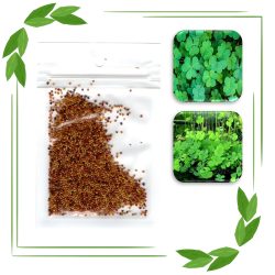 بذور نباتات خاصة لحوض الأسماك - Lucky Grass Seeds