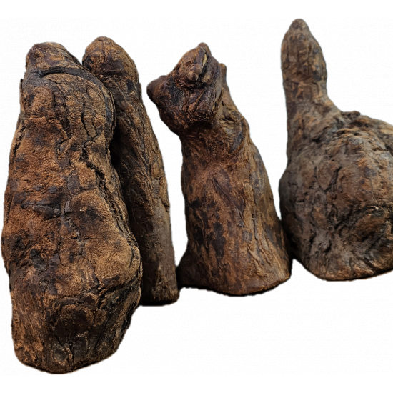 خشب شبيه بالصخور - Feeding Hill wood خشب شبيه بالصخور - Feeding Hill wood