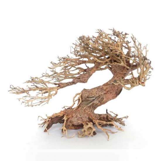 خشب من النوع Bonsai wood مقاس XL خشب من النوع Bonsai wood مقاس XL