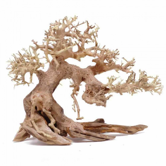 خشب من النوع Bonsai wood مقاس M خشب من النوع Bonsai wood مقاس M