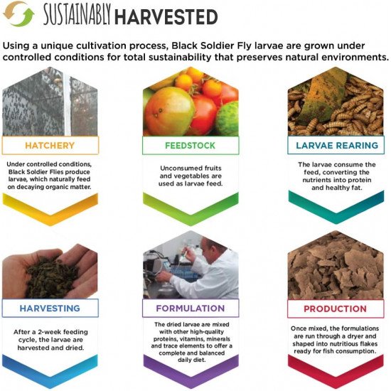 غذاء حبوب غني بالبروتين ومعزز للون الأسماك - Fluval Bug Bites Color