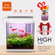 حوض كامل صغير مميز مع فلتر وإضاءة USB من شركة - QANVEE aquarium حوض كامل صغير مميز مع فلتر وإضاءة USB من شركة - QANVEE aquarium