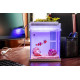حوض كامل صغير مميز مع فلتر وإضاءة بحرية USB من شركة - QANVEE aquarium حوض كامل صغير مميز مع فلتر وإضاءة بحرية USB من شركة - QANVEE aquarium