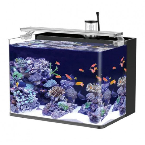 المجموعة الكاملة لحوض النيمو 48 سم - Nemo aquarium 48cm