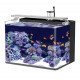 المجموعة الكاملة لحوض النيمو 48 سم - Nemo aquarium 48cm