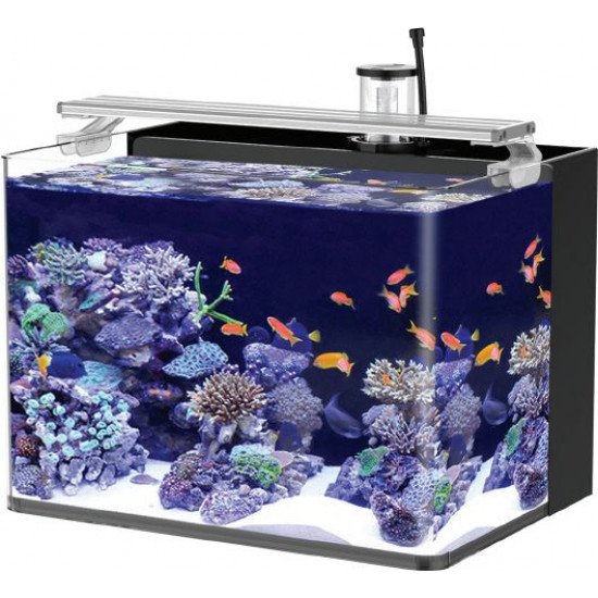 المجموعة الكاملة لحوض النيمو 38 سم - Nemo aquarium 38cm المجموعة الكاملة لحوض النيمو 38 سم - Nemo aquarium 38cm