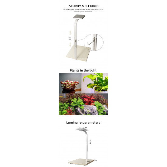 إضاءة LED WRGB مع قاعدة من الخشب - LED Light with WOOD Board إضاءة LED WRGB مع قاعدة من الخشب - LED Light with WOOD Board