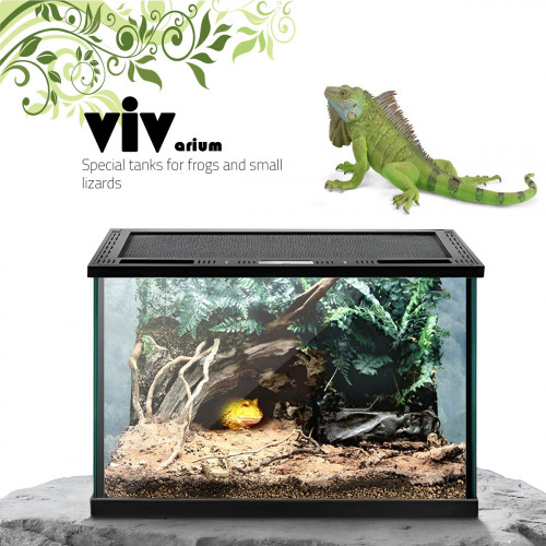 حوض زجاجي مع غطاء أسود لزواحف بحجم صغير ووسط - vivarium aquarium حوض زجاجي مع غطاء أسود لزواحف بحجم صغير ووسط - vivarium aquarium