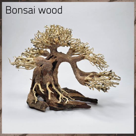 خشب من النوع Bonsai wood مجسم رقم 5 (معالج) خشب من النوع Bonsai wood مجسم رقم 5 (معالج)